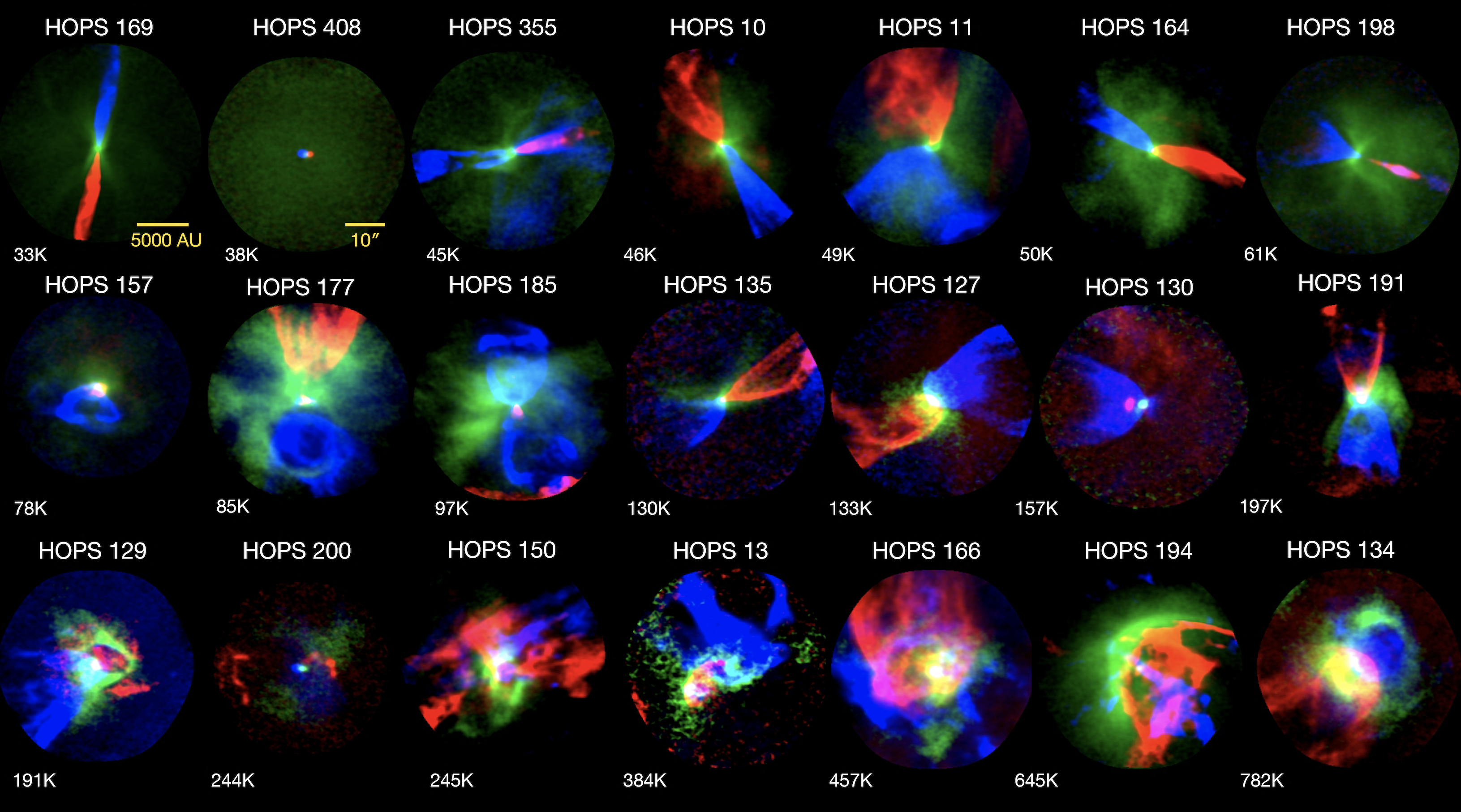 Orion Protostellar Outflows